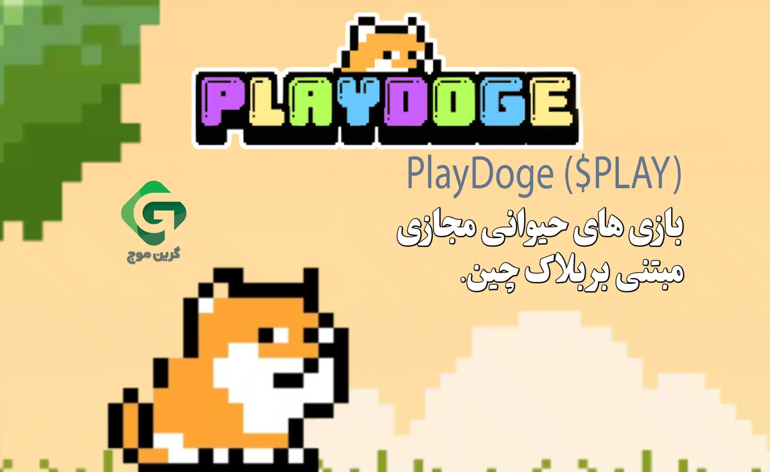معرفی 12 تا از بهترین پیش فروش های کریپتو در سال 2024 4 PlayDoge