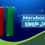 همه چیز درباره کندل ماروبوزو (Marubozu)